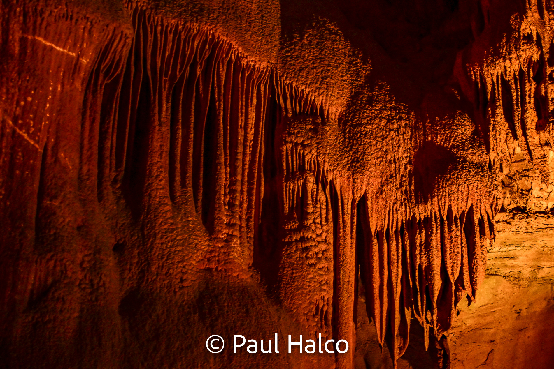 Paul Halco - Mammoth Cave NP-8